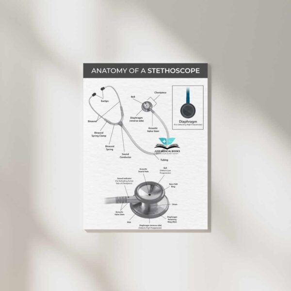 Anatomy of a stethoscope wall poster for medical students.